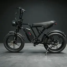 Електровелосипед Volto Vortex 22" фетбайк 1000W 48V 19Ah PAS система чорний - мініатюра 7
