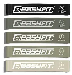 Резинки для фітнесу EasyFit MonoBand набір 5 шт (EF-1813-GY) - мініатюра 1