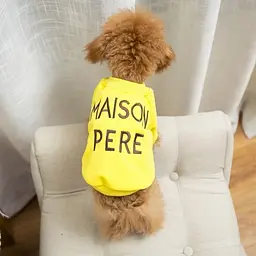 Толстовка Family Look для собак та власників з написом Maison Pere, без капюшона, жовтого кольору FB1 Multibrand zoo0005769 - мініатюра 3