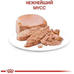 Набір вологого корму для кошенят до 4 місяців Royal Canin Babycat Instinctive 2.34 кг (12 шт. х 195 г) - мініатюра 6
