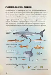 Морські тварини світу. Нотатки, малюнки та спостереження про тварин, що живуть в океані - мініатюра 9