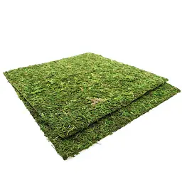 Фон з натурального моху Repti-Zoo Natural Moss Back & Bottom 30x30см 2 шт (NCM3030) для тераріуму - мініатюра 4