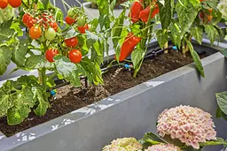 Комплект поливу Gardena Micro-Drip-System Terrace Set на 30 рослин (13400-20) - мініатюра 3