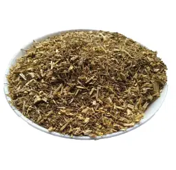 Боліголов Трава Блекіт Буглав Свистульник Conium maculatum - мініатюра 1