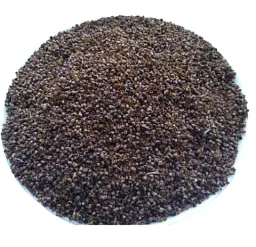 Подорожник великий Псиліум насіння Psyllium - мініатюра 1