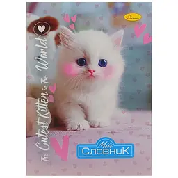 Зошит-словник з іноземної мови The Cutest Kitten in the world Апельсин АП-0502-8 В5 на скобі