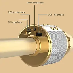 Мікрофон з караоке Epik WS858L Gold [124189] - мініатюра 3