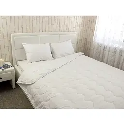 Ковдра силіконова зимова Руно 52СЛУ 200х220 см біла - мініатюра 3