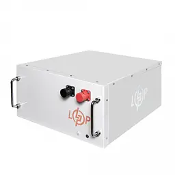 Акумулятор LogicPower LiFePO4 51,2V - 230 Ah (11776Wh) (BMS JK 200A/100А) RM WH - мініатюра 2