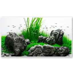 Двосторонній фон для акваріума Amazonia, 30×60 см