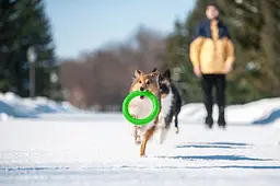 Кільце PitchDog (4823089302461)