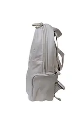 Рюкзак Samsonite MOVE 5.0 CLOUDY GREY 34,5х25x12 KP0*68024 - мініатюра 3