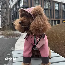 Панама для собак Hat-Dog Пудра (XXL) - мініатюра 5