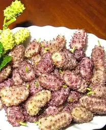 Саджанець Agro-Market Шовковиця ніжно рожева Ангелятко (Angelica) (преміальний високоурожай супер соковитий сорт) (45953) 1 шт. в упаковці - мініатюра 2