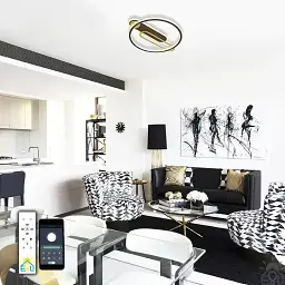 Керована світлодіодна люстра MENSOLA 80W R-APP-530х450x60-BLACK/GOLD/WHITE ESLLSE - мініатюра 4