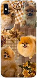 TPU чохол Demsky Spitz aethtetic для Apple iPhone XS Max (6.5")