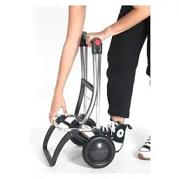 Сумка-візок Rolser Big Polar 2L Negro (BIG004-1023) (931703) - мініатюра 9