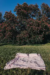 Комплект постільної білизни сатин 100% бавовна рожевий Baby Pink - двоспальний - мініатюра 6