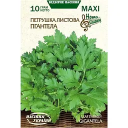 Насіння Maxi Насіння України петрушка листова гігантела 10 г (688850)