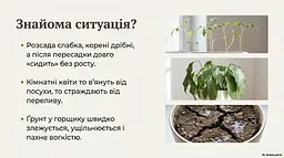 Біочар IDEALE для кімнатних рослин та розсади 1,5 л - мініатюра 7