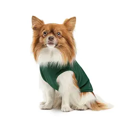 Борцовка Kale Pet Fashion для собак S зелена - мініатюра 3