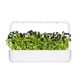 Змінний картридж Click & Grow Чорна віола (9230) - мініатюра 3