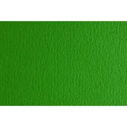 Папір для дизайну Fabriano Elle Erre B1 (70x100см) №11 verde 220г/м2 зелений дві текстури