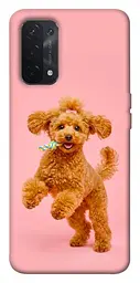 TPU чохол Demsky Happy poodle для Oppo A54 4G