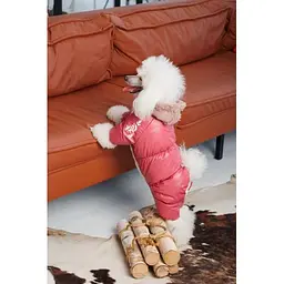 Комбінезон Pet Fashion Cherry ХS2 для дівчаток для собак - мініатюра 5