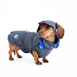 Вітровка для такс Hat-Dog Графіт (M/Хлопчик)