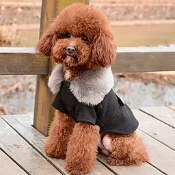 Пальто з хутряним коміром для собак Derby Black, XL
