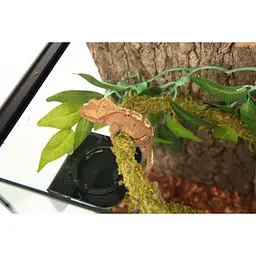Ліана гнучка з натуральним мохом для тераріуму Repti-Zoo Artificial Moss Vine 1,5см x 2м (RV0215) - мініатюра 7
