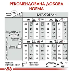 Сухий корм для собак малих порід з тьмяною та сухою шерстю Royal Canin Mini Coat Care, 1 кг (1220010) - мініатюра 6