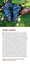 Hugh Johnson's Pocket Wine Book 2019 - мініатюра 2