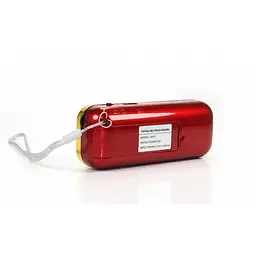 Радіоприймач переносний з FM USB MicroSD радіо на акумуляторі BKK B837 18650 - мініатюра 3