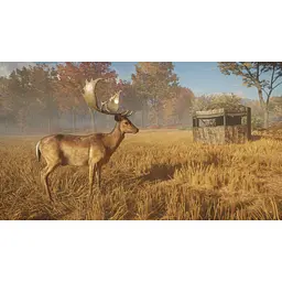 Ключ активації Microsoft TheHunter: Call of the Wild - Gold Bundle для Xbox One/Series - мініатюра 4