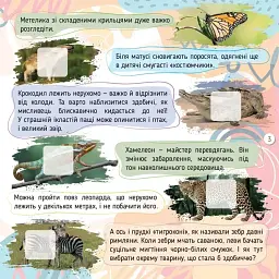 100 цікавинок. Комахи - Катерина Шаповалова - мініатюра 3