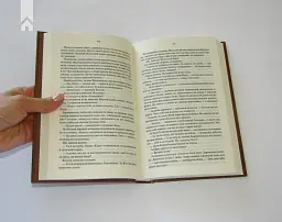 Три товариші - мініатюра 4