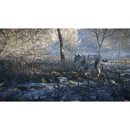 Ключ активації Microsoft TheHunter: Call of the Wild - Silver Bundle для Xbox One/Series - мініатюра 8