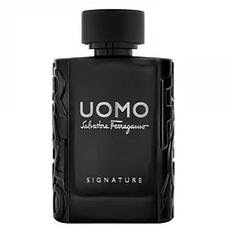 Оригінал Salvatore Ferragamo Uomo Signature 100 мл парфумована вода