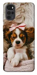 TPU чохол Demsky Sleepy spaniel для Motorola Moto G22