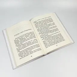 Пес на ім’я Мані, або абетка грошей Бодо Шефер Видавництво Старого Лева, книга