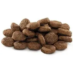 Сухий корм Brit Premium Dog Junior L для цуценят та юніорів великих порід з куркою 15 кг - мініатюра 2