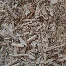 100 г заманиха висока коріння сушене - свіжий урожай