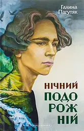 Нічний подорожній