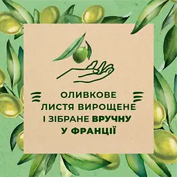 Гель для душу Le Petit Marseillais БІО Листя оливи 250 мл - мініатюра 3