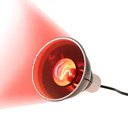 Інфрачервона нагрівальна лампа Repti-Zoo Infrared Heat 35W (R63035) - мініатюра 8