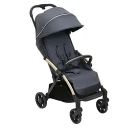 Коляска Chicco Goody XPlus сіра 8058664173051 (87040.27)