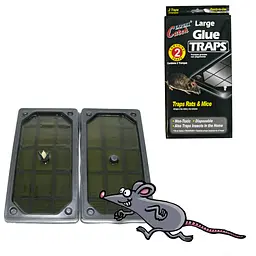 Клейова пастка для мишей і щурів Catch Expert Glue Traps 13x25 см (2 шт./пач.), липка пастка від гризунів (ST)