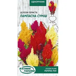 Насіння Целозія периста Насіння України Пампасна суміш 0.1 г (804900)